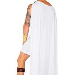 Roma Costume, Inc. Olympian God Costume Costumes