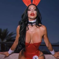 Roma Costume 8pc Playboy Bunny Costumes